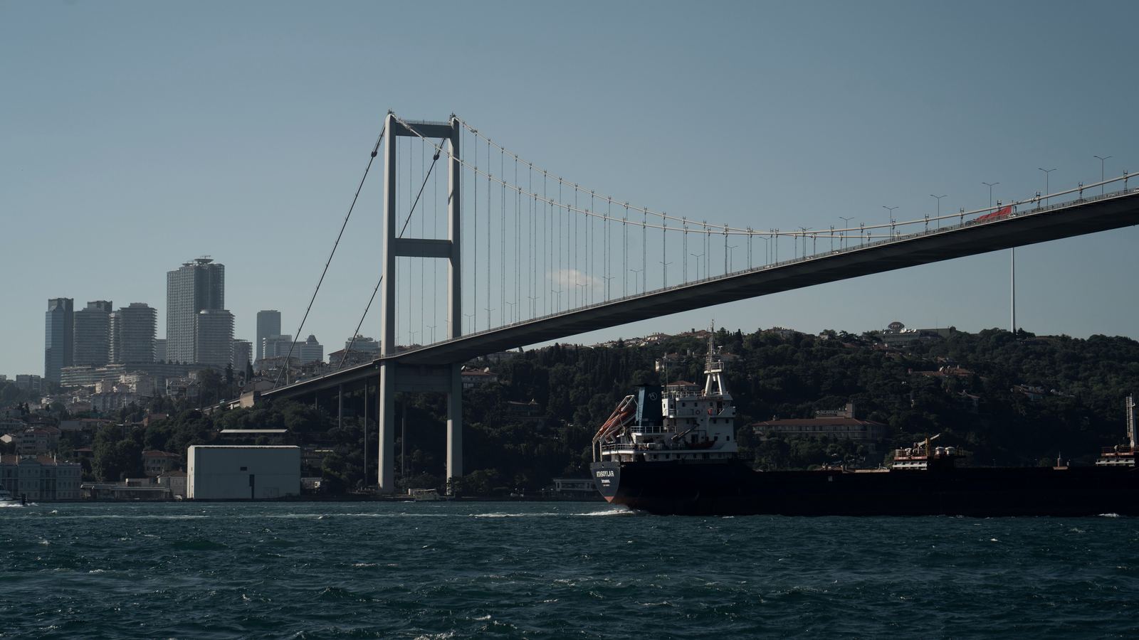 A cargo ship passing under the Bosphorus Bridge, Istanbul