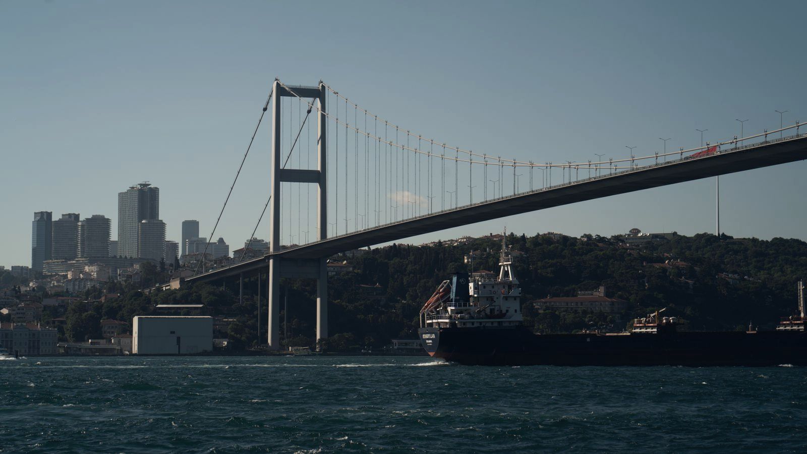 A cargo ship passing under the Bosphorus Bridge, Istanbul
